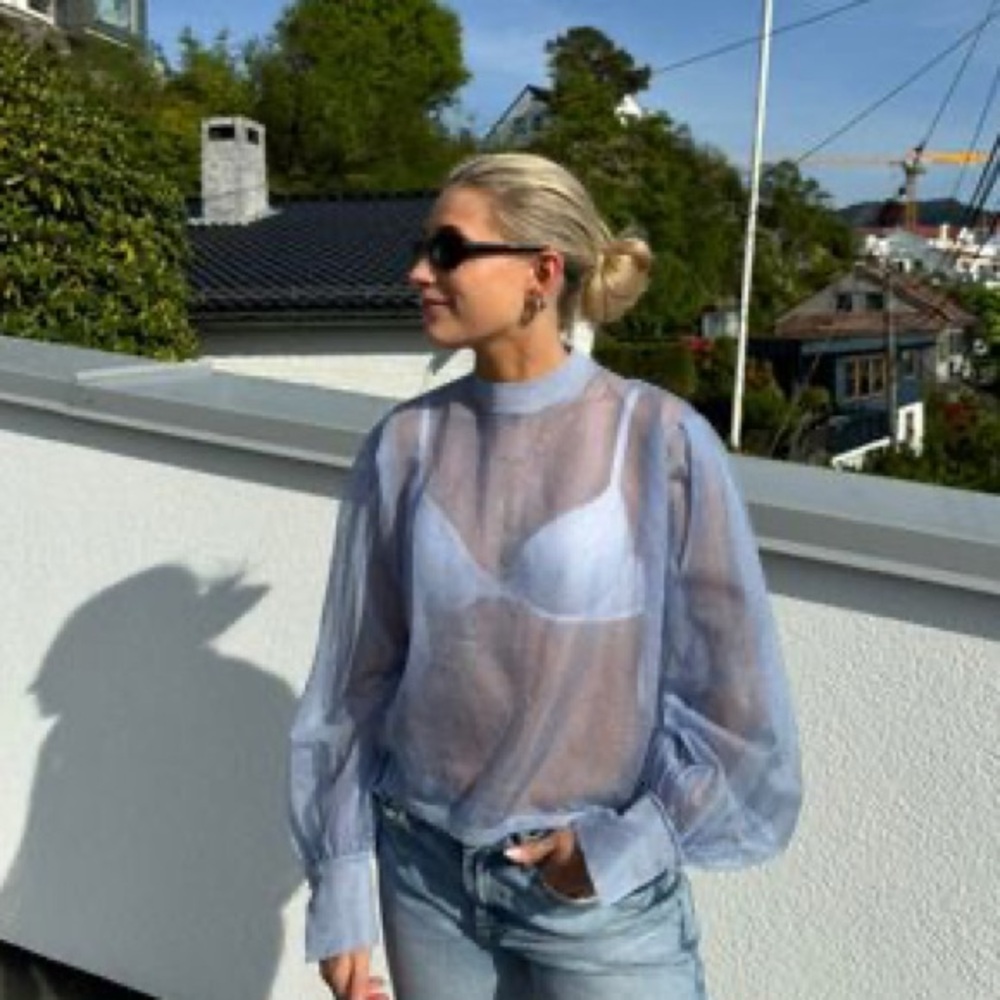 Zara / Periwinkle Sheer Shimmer Blouse